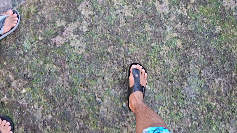 20260817_163406.mp4