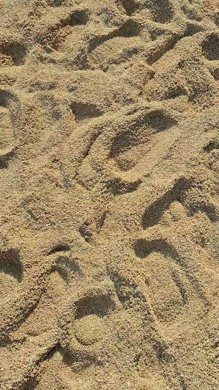 20260817_160046.mp4